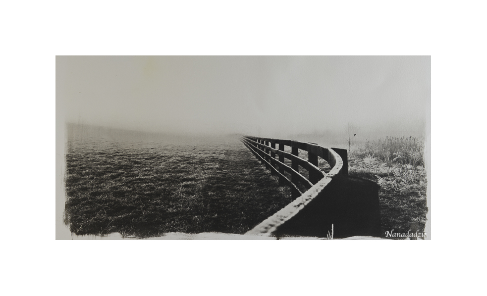 Platinum-Palladium Prints 