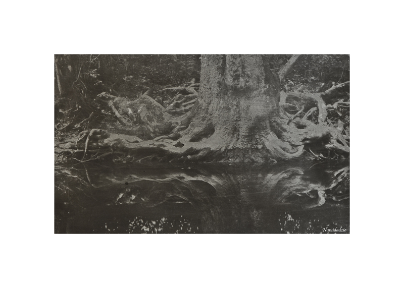 Gum Bichromate Prints 