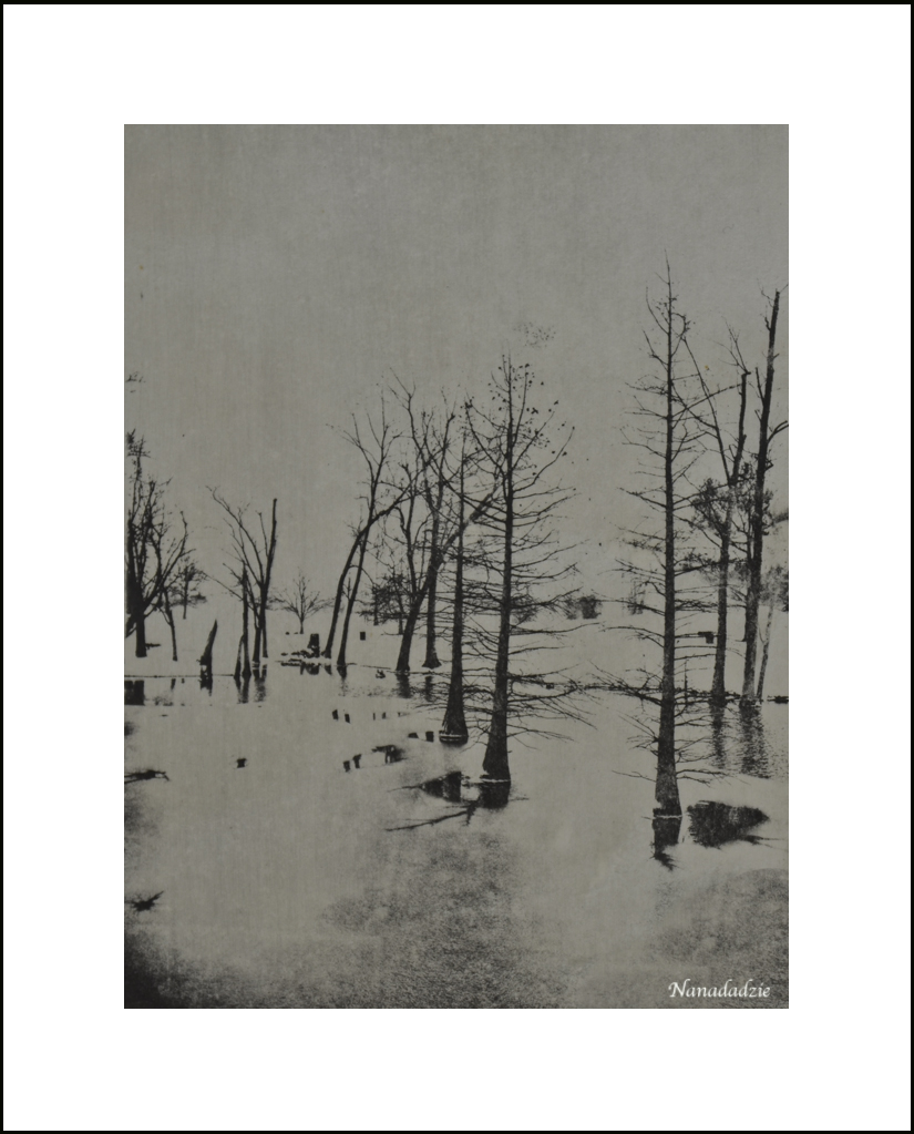 Copper Plate Photogravure 