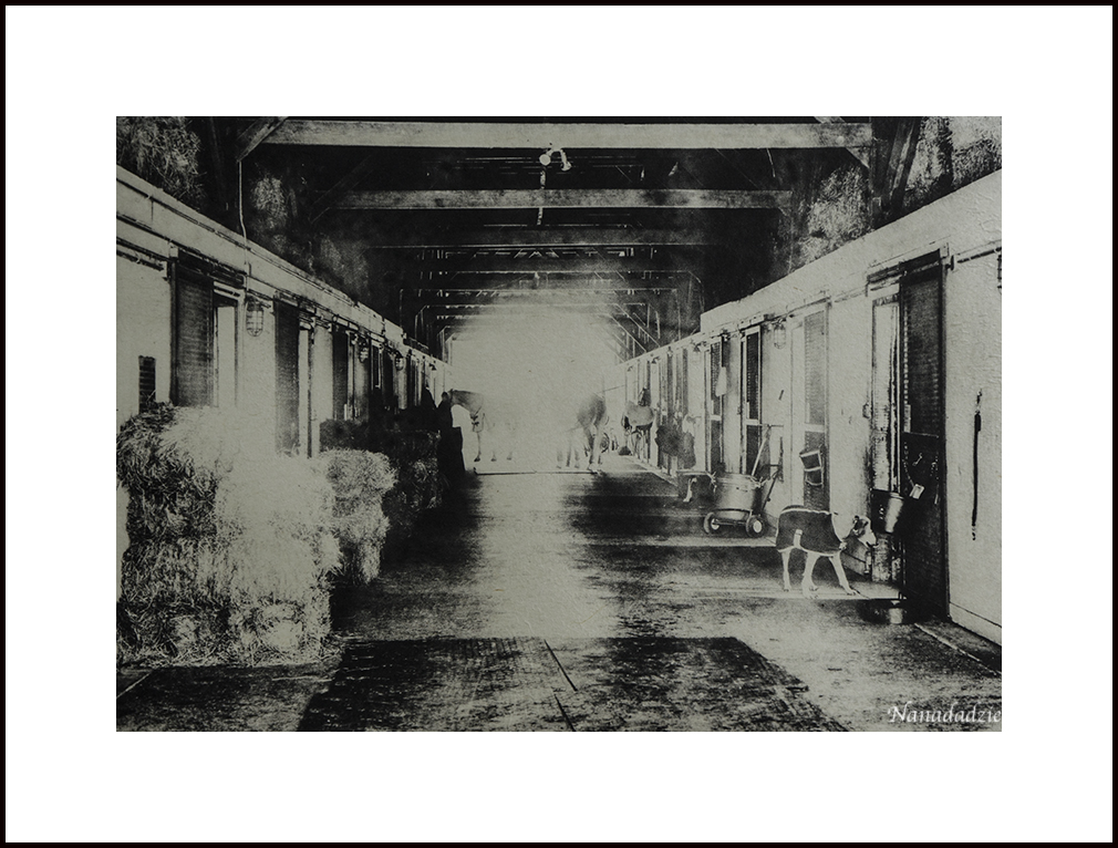 Photopolymer Intaglio Prints 