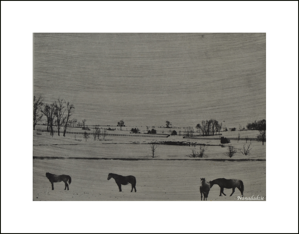 Copper Plate Photogravure 