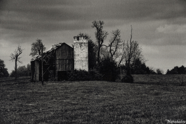 Platinum-Palladium Prints 