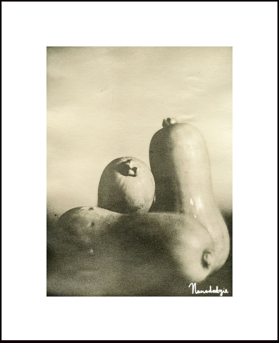 Lith Silver Gelatin Prints 